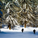 08122011-Courmayeur_8dic2011-67