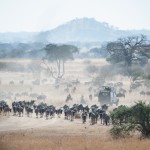 Tanzania_Safari-14