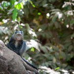 Tanzania_Safari-55